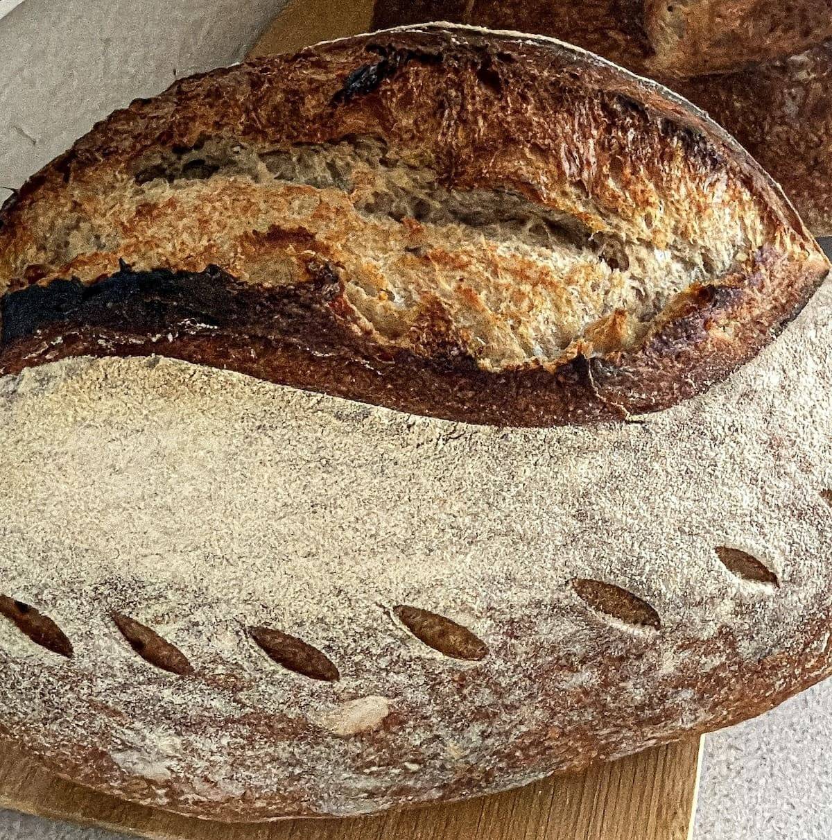 Frisch gebackenes Sauerteigbrot mit bemehlter Kruste und aufgesprungenen Einschnitten Frisch gebackenes Sauerteigbrot mit bemehlter Kruste und aufgesprungenen Einschnitten