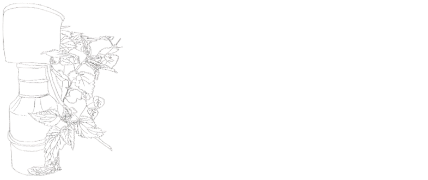 Pflanzen-Handwerk – Uraltes Pflanzenwissen, handwerklich veredelt Pflanzen-Handwerk – Uraltes Pflanzenwissen, handwerklich veredelt